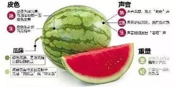 湘潭网红吃瓜群微信,揭秘网络社交圈的趣味与热议