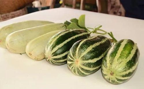 网红免费吃瓜视频